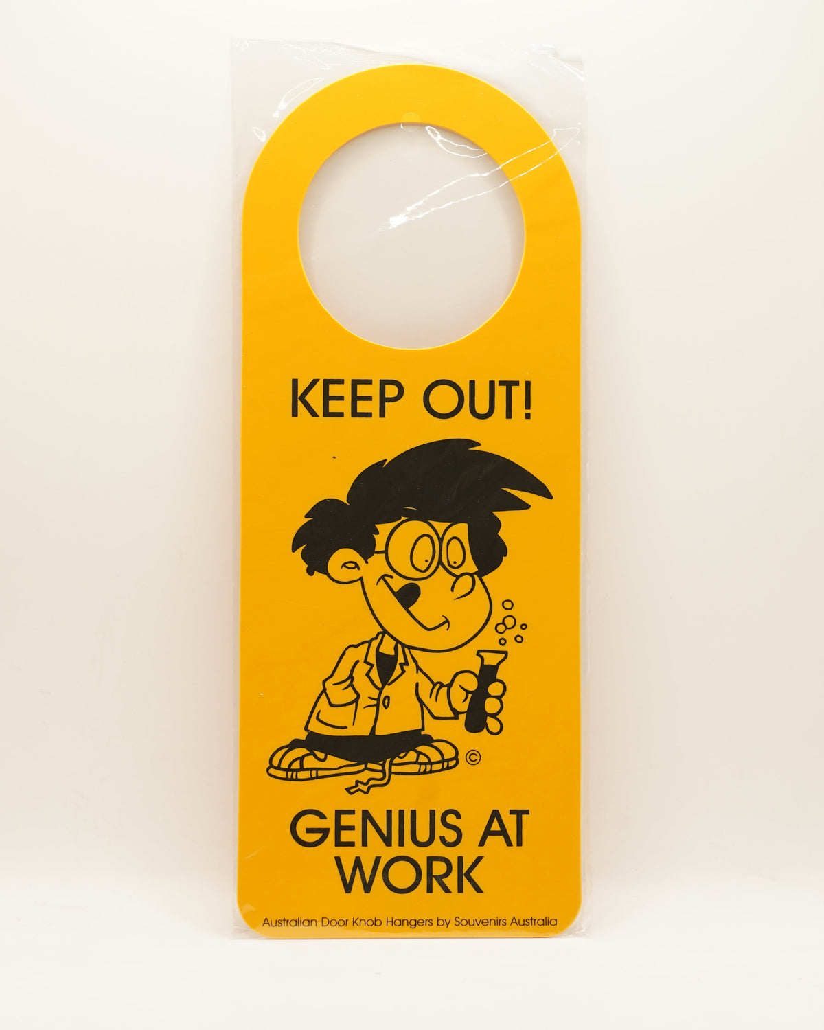 Genius at Work Door Hanger