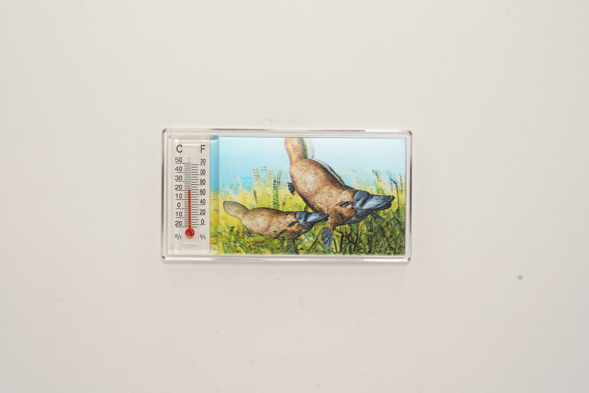 Platypus 3D Thermometer Magnet