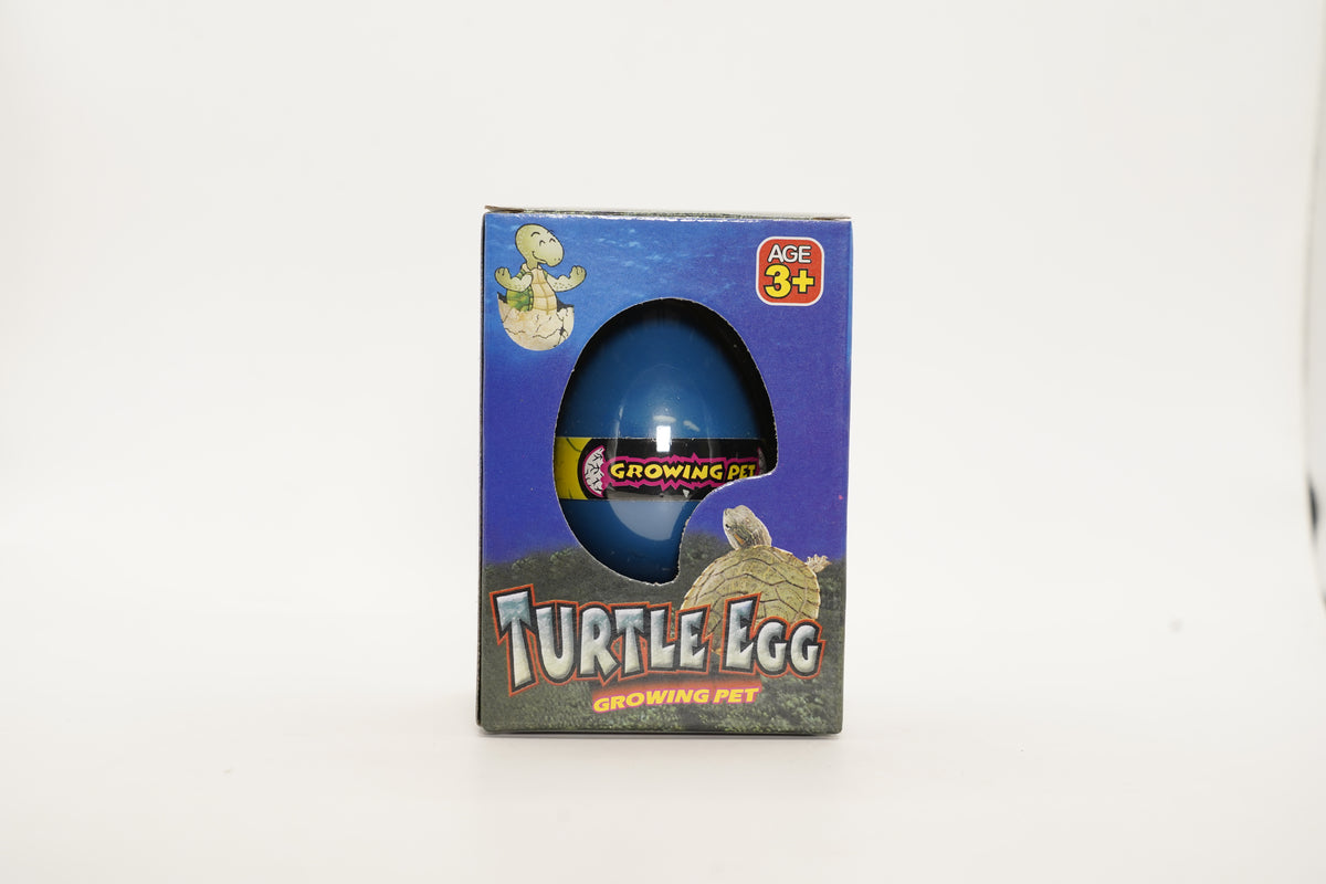 Hatch n Grow- Turtle Egg