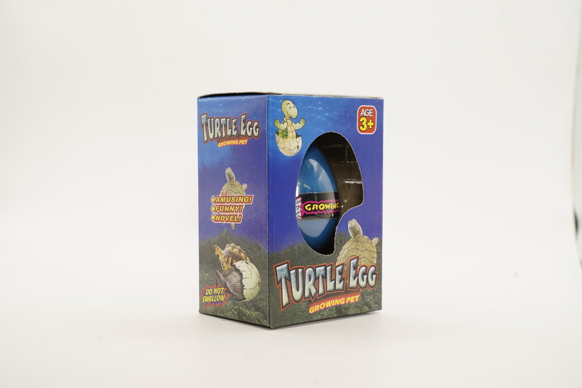 Hatch n Grow- Turtle Egg