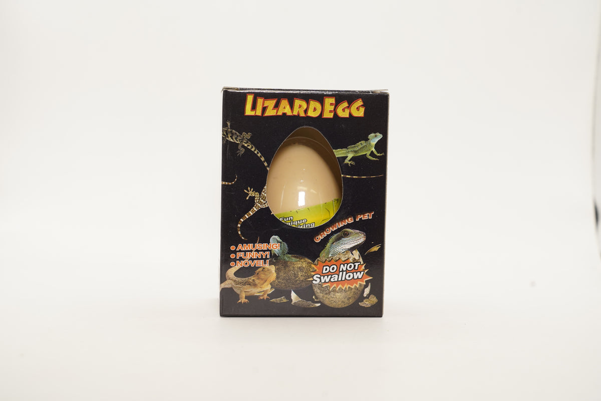 Hatch n Grow- Lizard Egg