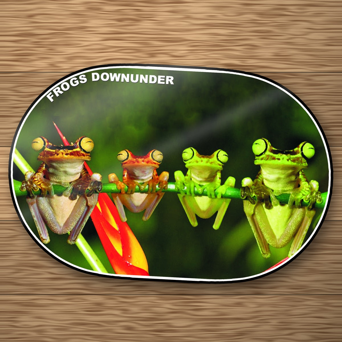 Frogs Downunder PVC Placemat