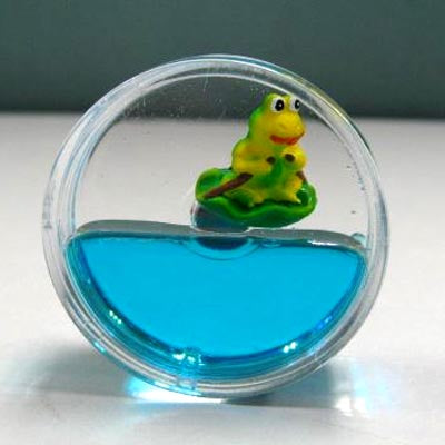 Frog Round Magnet